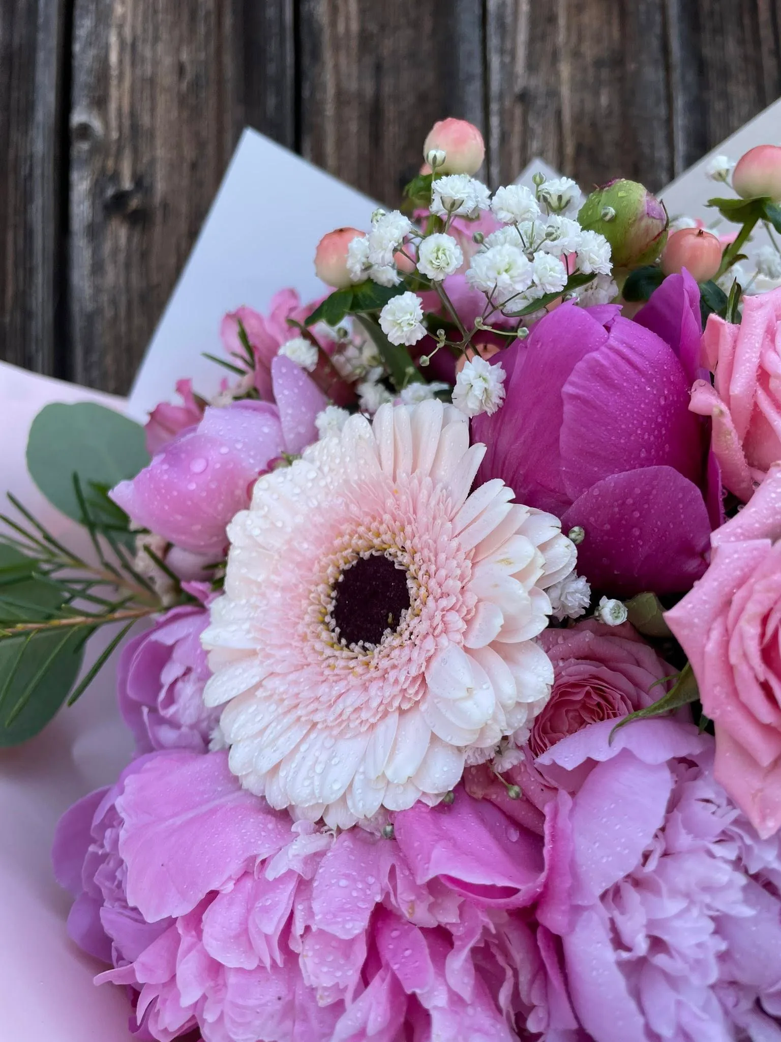 Peony Romance 2