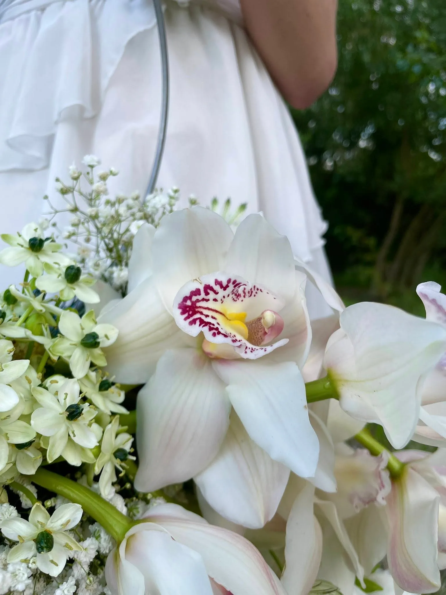 Botanical Ring & Orchid Serenade 4