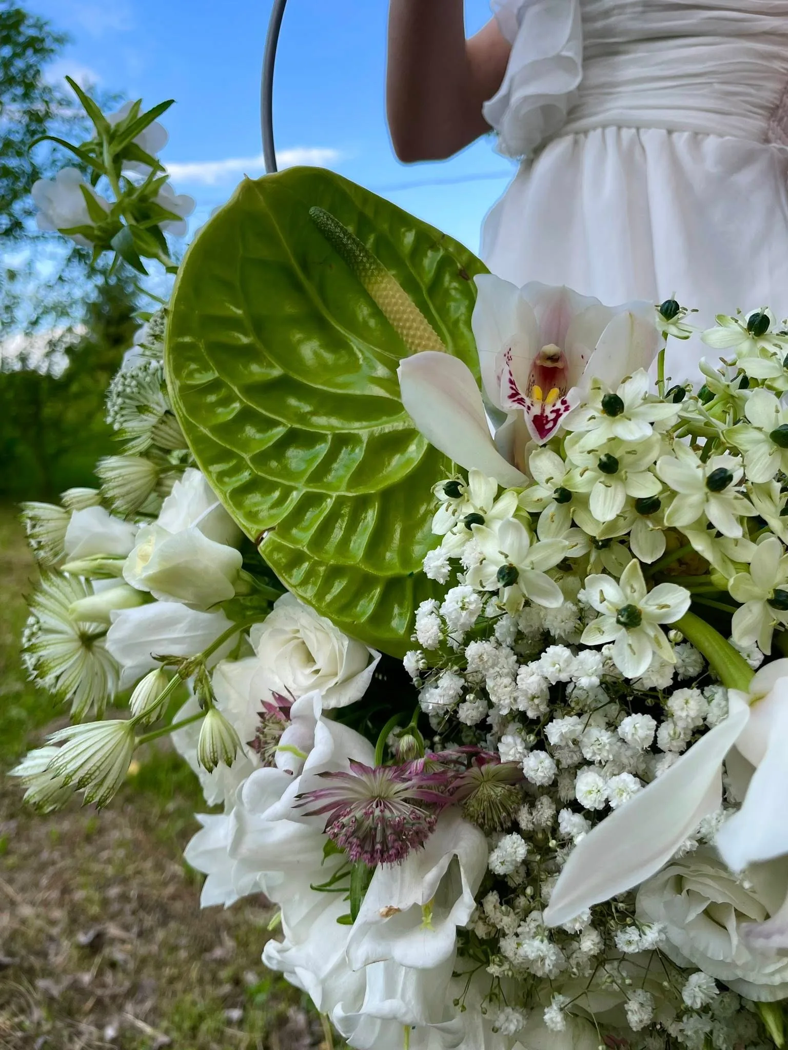 Botanical Ring & Orchid Serenade 3
